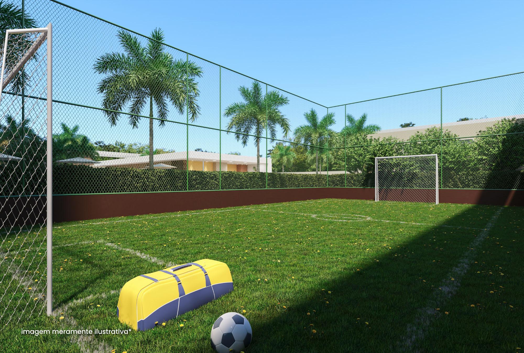 Campo