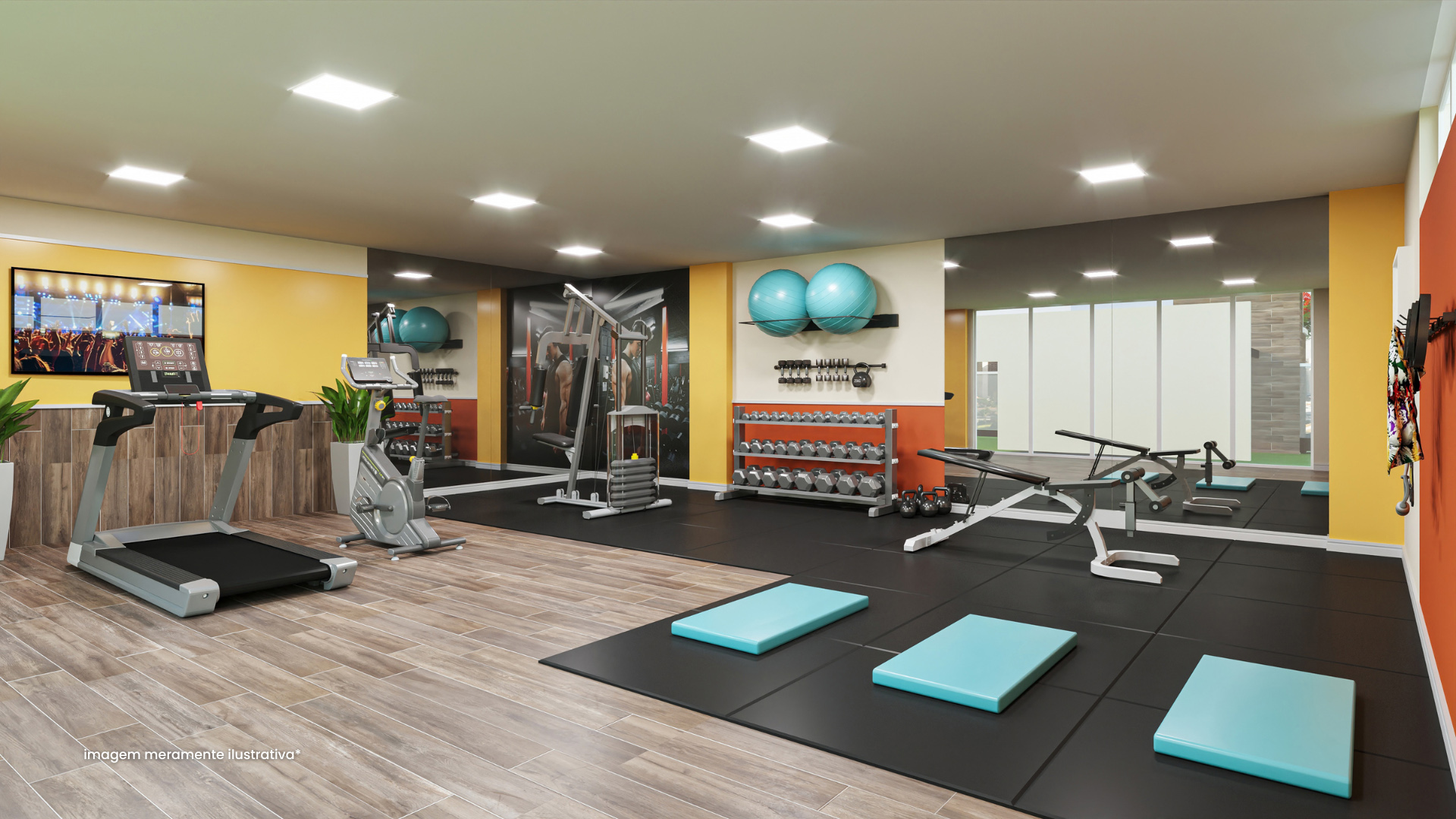 Fitness